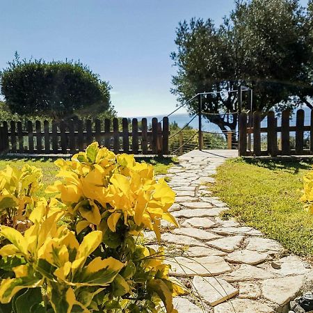 Bed And Breakfast Nefer Maratea Exterior foto